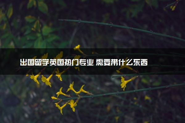 出国留学英国热门专业 需要带什么东西