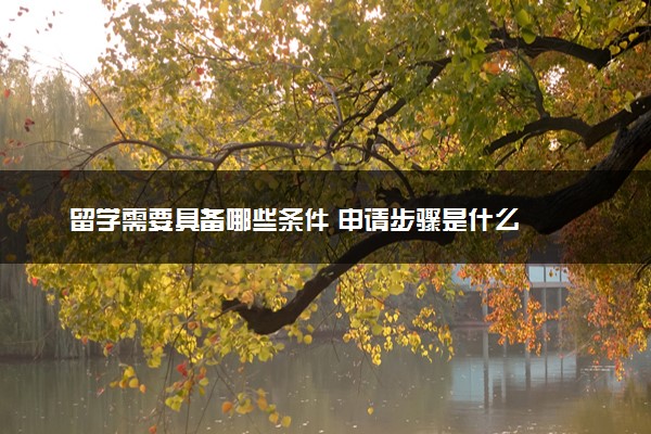 留学需要具备哪些条件 申请步骤是什么
