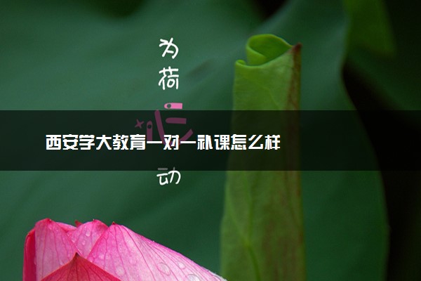 西安学大教育一对一补课怎么样