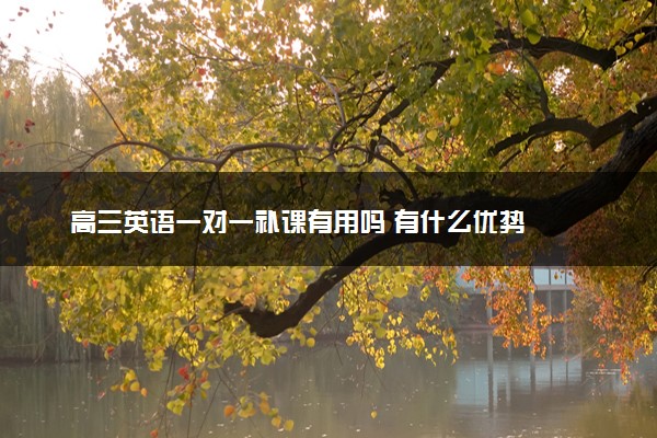 高三英语一对一补课有用吗 有什么优势