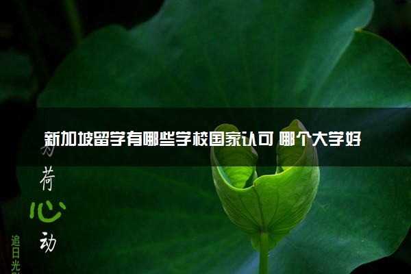 新加坡留学有哪些学校国家认可 哪个大学好