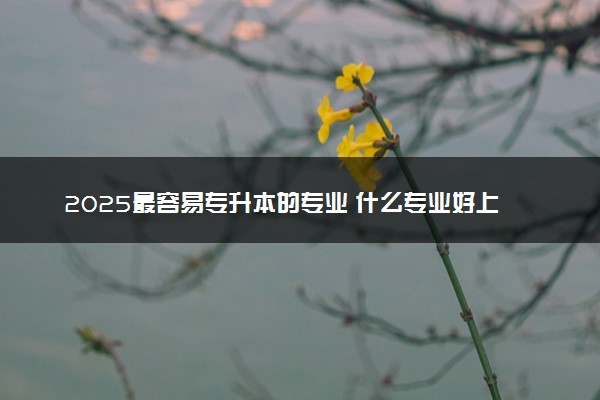 2025最容易专升本的专业 什么专业好上岸