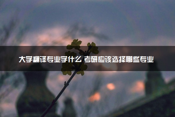 大学翻译专业学什么 考研应该选择哪些专业