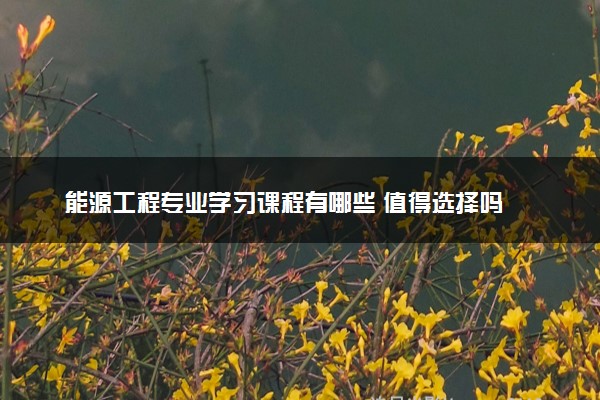 能源工程专业学习课程有哪些 值得选择吗