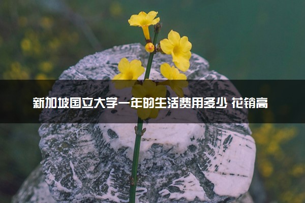 新加坡国立大学一年的生活费用多少 花销高吗