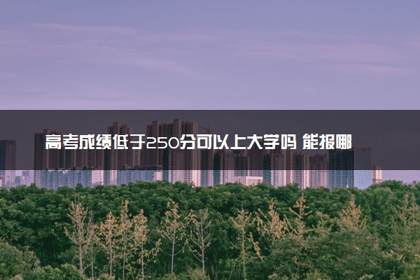 高考成绩低于250分可以上大学吗 能报哪些院校