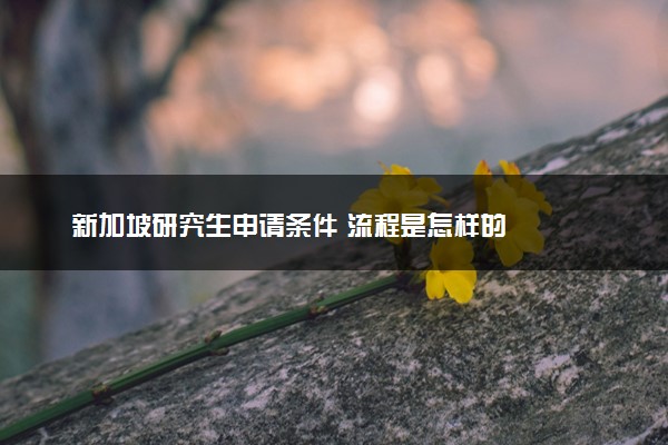 新加坡研究生申请条件 流程是怎样的