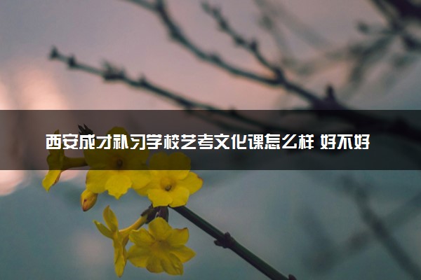 西安成才补习学校艺考文化课怎么样 好不好