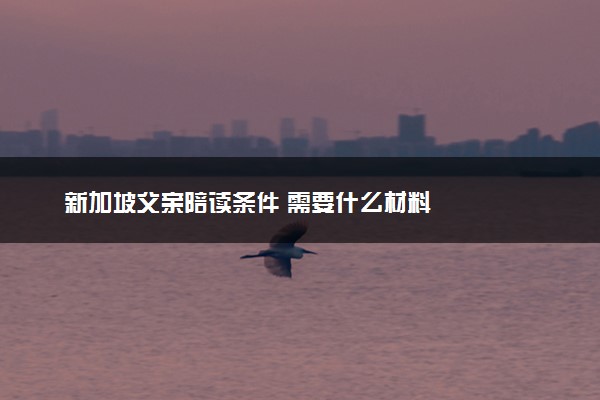 新加坡父亲陪读条件 需要什么材料