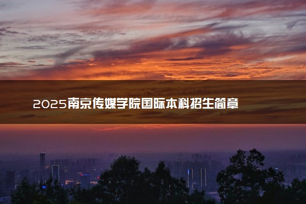 2025南京传媒学院国际本科招生简章