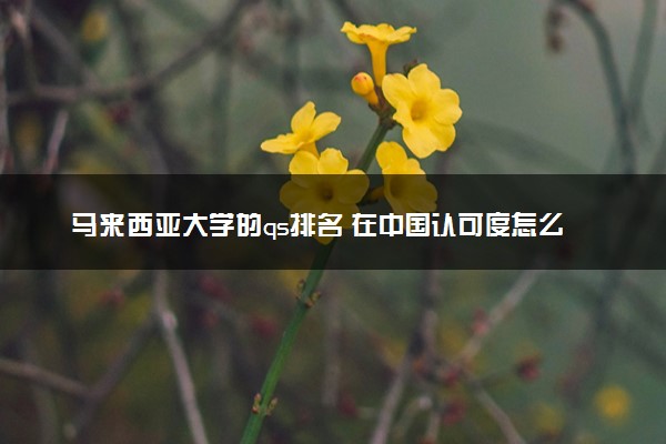 马来西亚大学的qs排名 在中国认可度怎么样