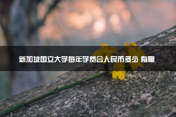 新加坡国立大学每年学费合人民币多少 有哪些花销