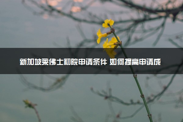 新加坡莱佛士初院申请条件 如何提高申请成功率