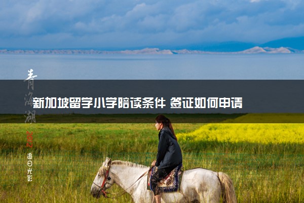 新加坡留学小学陪读条件 签证如何申请
