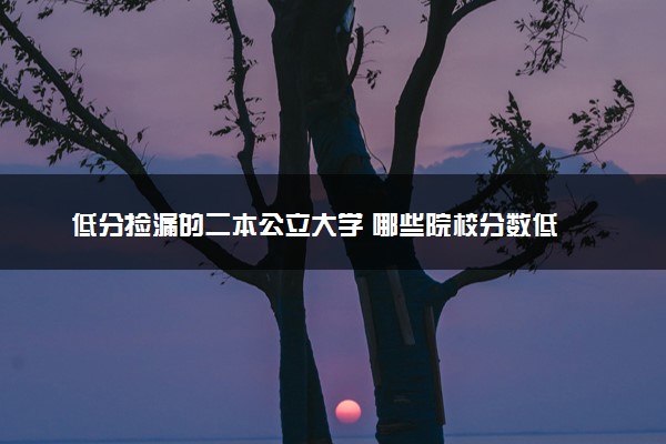 低分捡漏的二本公立大学 哪些院校分数低