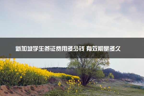 新加坡学生签证费用多少钱 有效期是多久