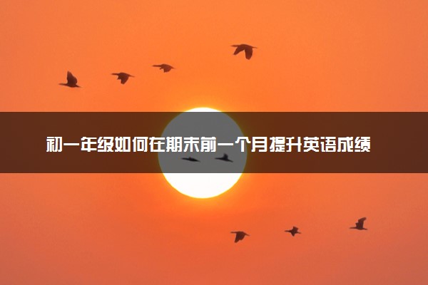 初一年级如何在期末前一个月提升英语成绩