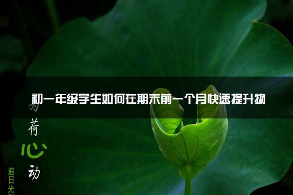 初一年级学生如何在期末前一个月快速提升物理成绩？