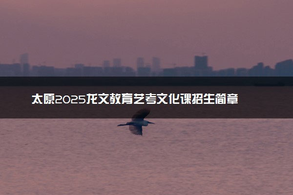 太原2025龙文教育艺考文化课招生简章
