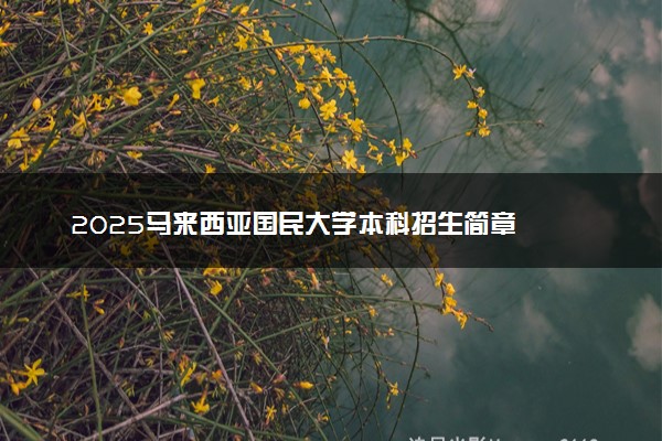 2025马来西亚国民大学本科招生简章