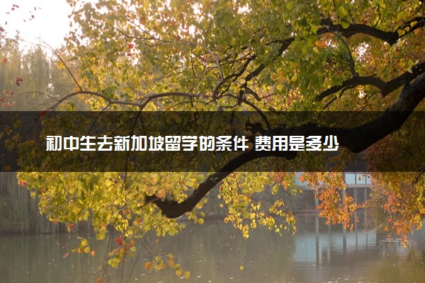 初中生去新加坡留学的条件 费用是多少