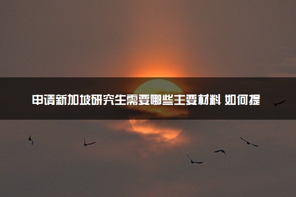 申请新加坡研究生需要哪些主要材料 如何提高成功率