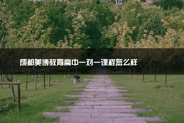 成都美博教育高中一对一课程怎么样