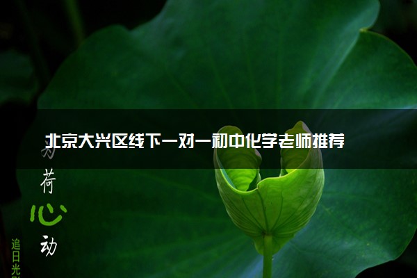 北京大兴区线下一对一初中化学老师推荐