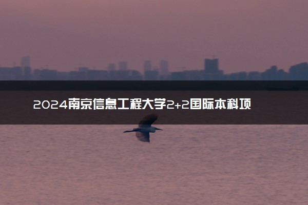 2024南京信息工程大学2+2国际本科项目招生专业