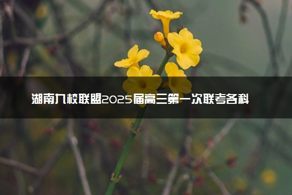 湖南九校联盟2025届高三第一次联考各科试题及答案汇总