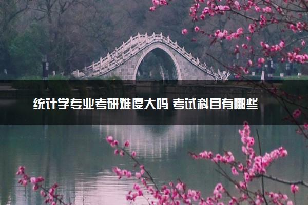 统计学专业考研难度大吗 考试科目有哪些