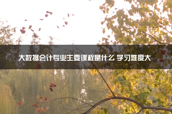 大数据会计专业主要课程是什么 学习难度大吗