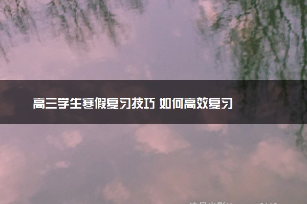 高三学生寒假复习技巧 如何高效复习