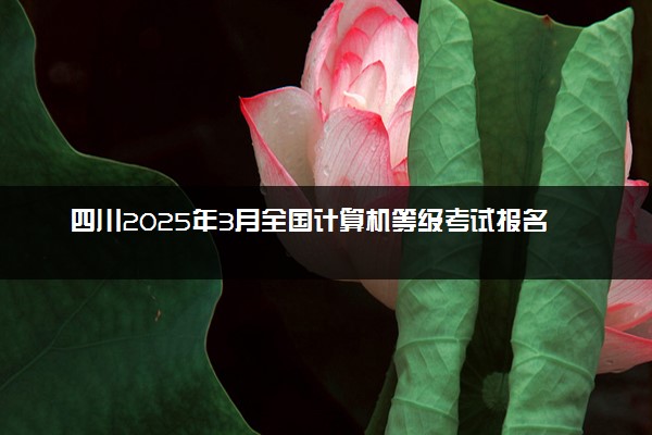 四川2025年3月全国计算机等级考试报名时间 具体哪天