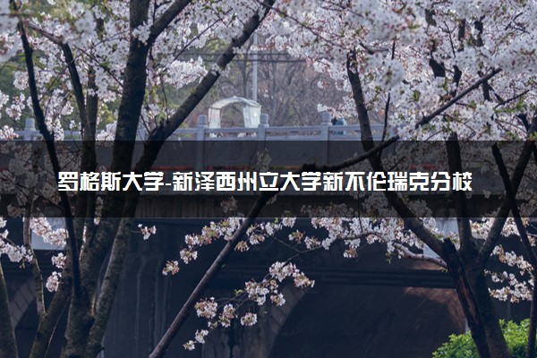 罗格斯大学-新泽西州立大学新不伦瑞克分校的学费 一年多少钱