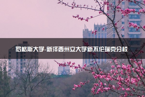 罗格斯大学-新泽西州立大学新不伦瑞克分校申请条件及要求