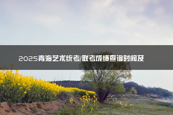 2025青海艺术统考/联考成绩查询时间及入口