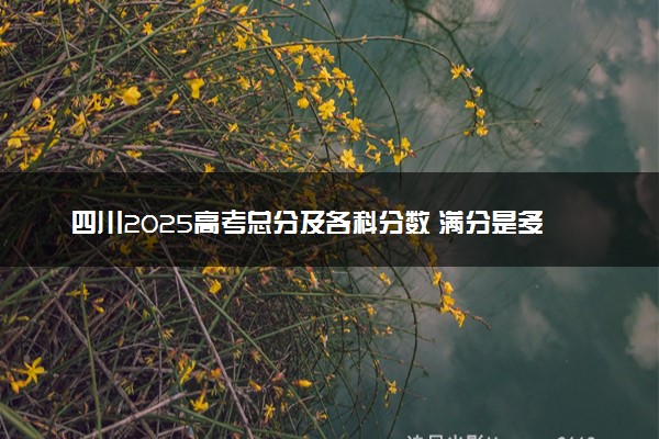四川2025高考总分及各科分数 满分是多少