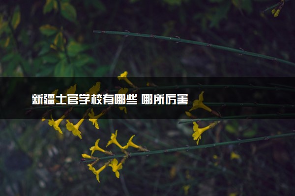 新疆士官学校有哪些 哪所厉害