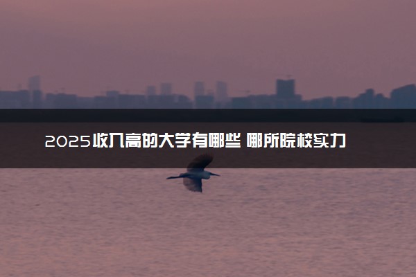 2025收入高的大学有哪些 哪所院校实力强