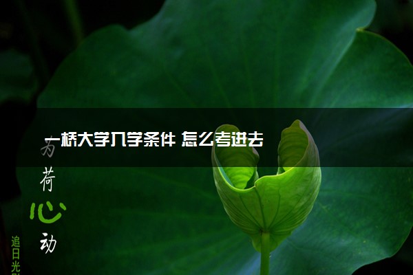 一桥大学入学条件 怎么考进去