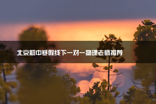 北京初中寒假线下一对一物理老师推荐