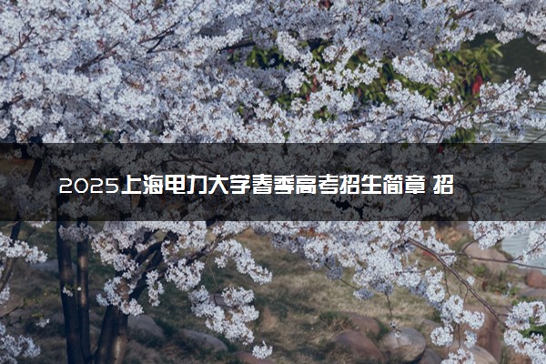 2025上海电力大学春季高考招生简章 招生专业及计划