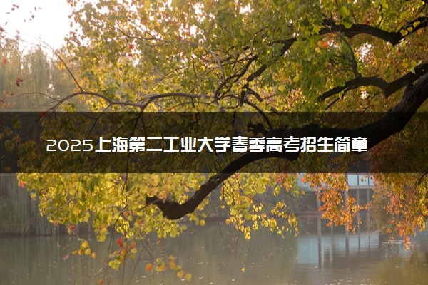 2025上海第二工业大学春季高考招生简章 招生专业及计划