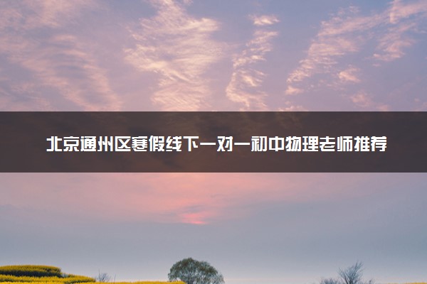 北京通州区寒假线下一对一初中物理老师推荐