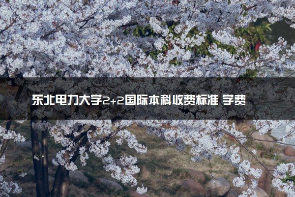 东北电力大学2+2国际本科收费标准 学费多少钱