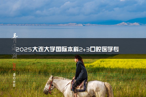 2025大连大学国际本科2+3口腔医学专家学位项目招生简章