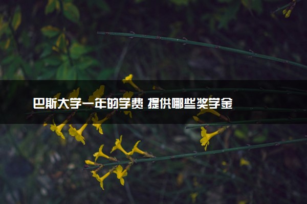 巴斯大学一年的学费 提供哪些奖学金