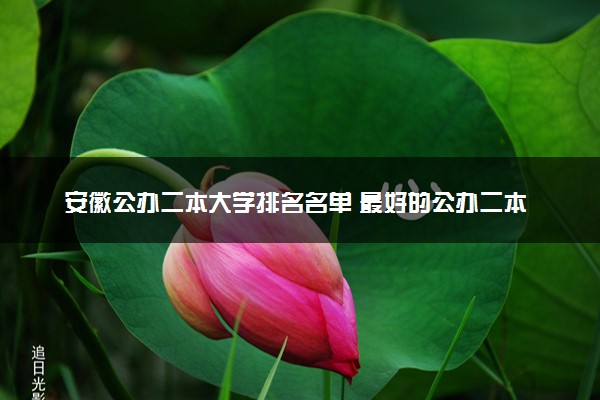 安徽公办二本大学排名名单 最好的公办二本院校（2025年参考）