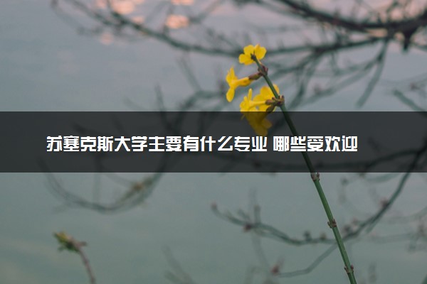 苏塞克斯大学主要有什么专业 哪些受欢迎